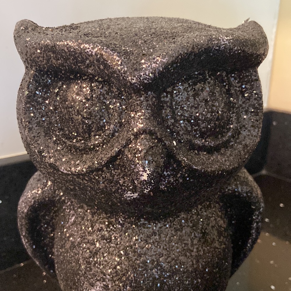 Black Glitter Owl Halloween Large Craft DIY Farmhouse Spooky Goth Summerween - Picture 2 of 11